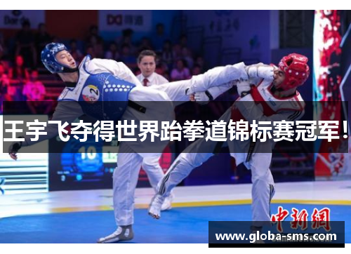 王宇飞夺得世界跆拳道锦标赛冠军！
